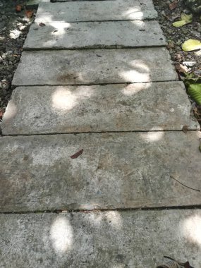 Beton yolda renk sonbahar yaprakları