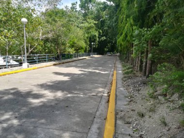 Parktan geçen bir yol. Dinlenme ve rahatlama kavramı