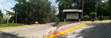 Parktan geçen bir yol. Dinlenme ve rahatlama kavramı