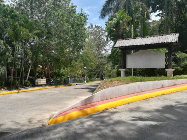 Parktan geçen bir yol. Dinlenme ve rahatlama kavramı