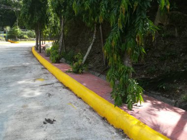 Parktan geçen bir yol. Dinlenme ve rahatlama kavramı