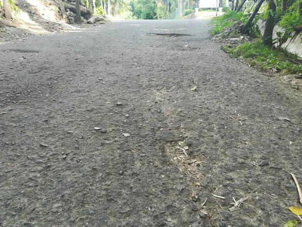 Bulutlu bir günde güzel bir ağaçla yeşil ormanın içinden geçen yol.