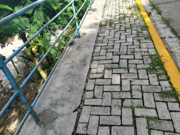 Bulutlu bir günde yeşil ormanda yol