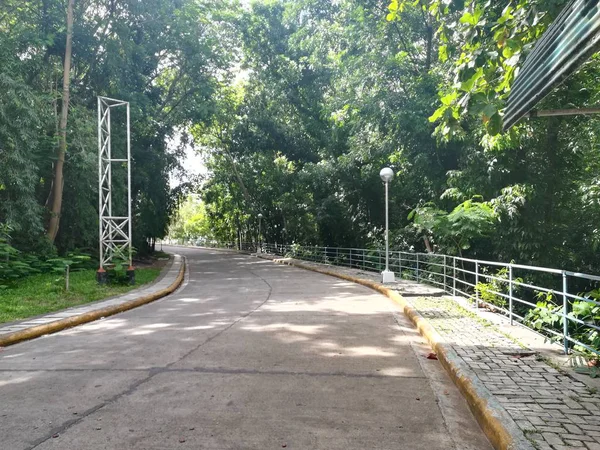 Estrada Através Floresta Verde Dia Nublado — Fotografia de Stock