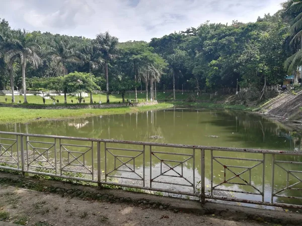 Parque Com Lagoa Água Verde — Fotografia de Stock