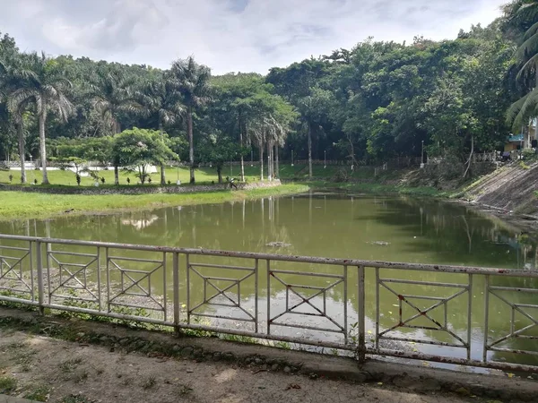 Taman Dengan Kolam Air Hijau — Stok Foto