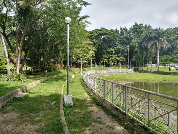 Bulutlu bir günde yeşil ormanda yol