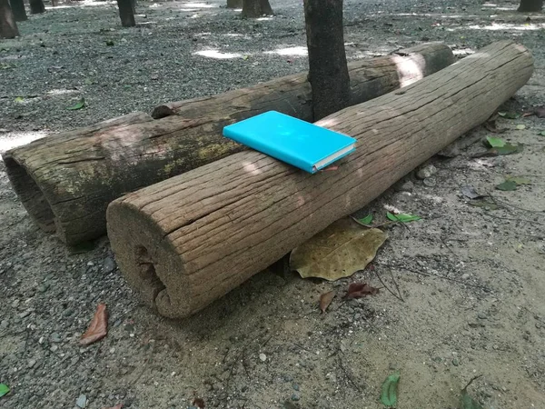 Açık Havada Çekilmiş Mavi Kapaklı Bir Kitap — Stok fotoğraf