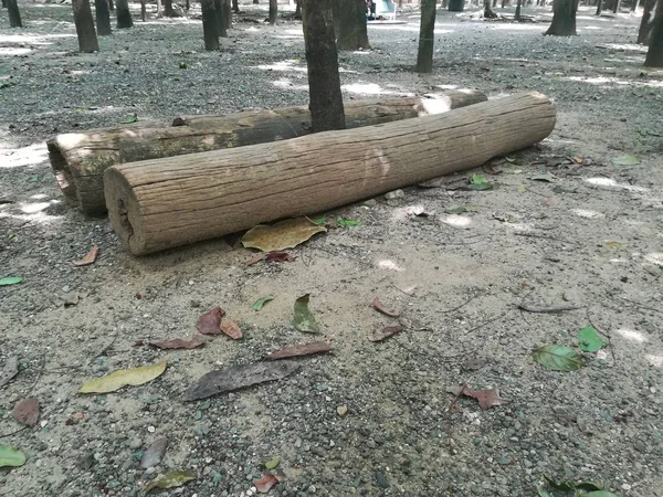 Ağaç Gövdeleri Parkta Yerde Yatıyor — Stok fotoğraf