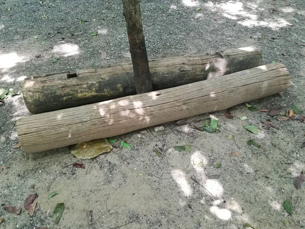 Ağaç gövdeleri parkta yerde yatıyor. 