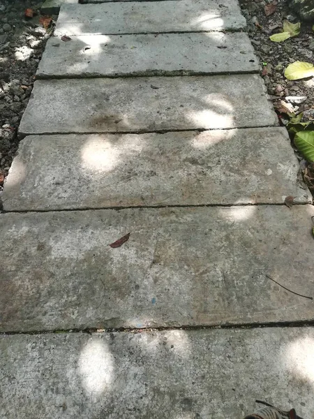 Beton yolda renk sonbahar yaprakları