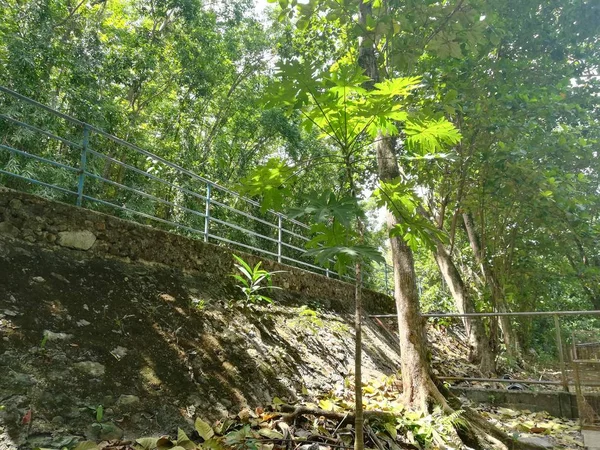 Jalan Melalui Taman Konsep Istirahat Dan Relaksasi — Stok Foto