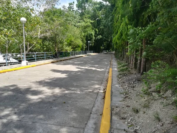 Estrada Através Parque Conceito Descanso Relaxamento — Fotografia de Stock