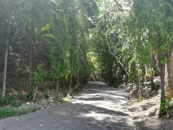 Parktan geçen bir yol. Dinlenme ve rahatlama kavramı