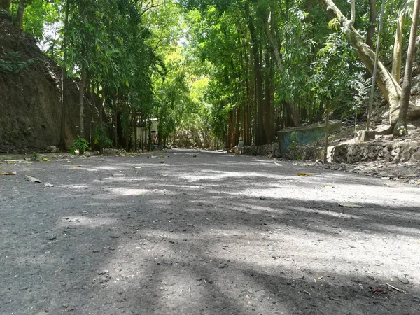 Parktan Geçen Bir Yol Dinlenme Rahatlama Kavramı — Stok fotoğraf