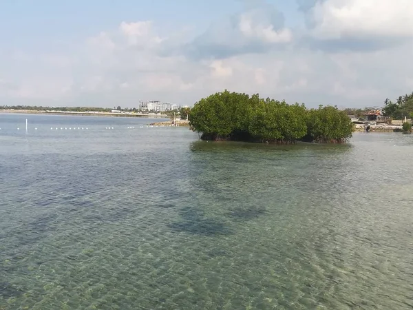 Gölün ortasındaki küçük adanın gündüz görüntüsü.
