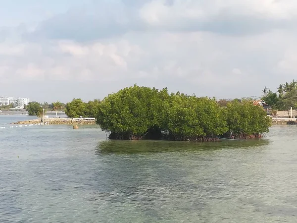 Gölün ortasındaki küçük adanın gündüz görüntüsü.