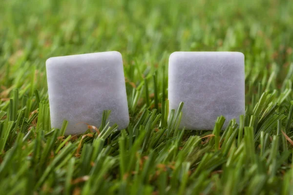 Çim Zemin kopya alanı ile