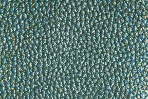 Textura Cuero Menta Fondo Fondo Textura — Foto de Stock