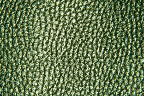 Yeşil deri doku arka plan, zemin veya doku