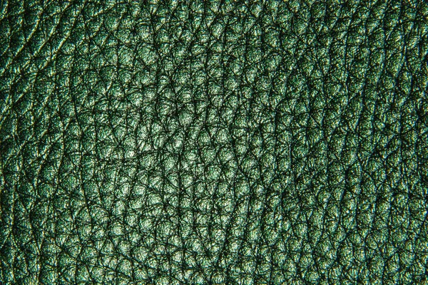 Yeşil deri doku arka plan, zemin veya doku