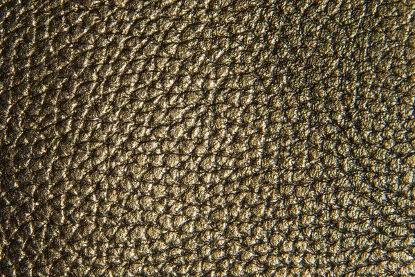 Bataklık deri doku arka plan, zemin veya doku