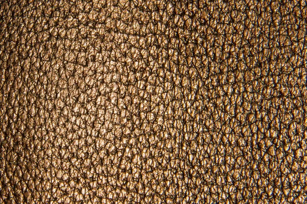 Fond Toile Fond Texture Cuir Marron — Photo