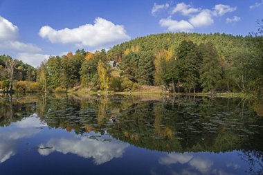 Gölde yansıtma cottage ormanda