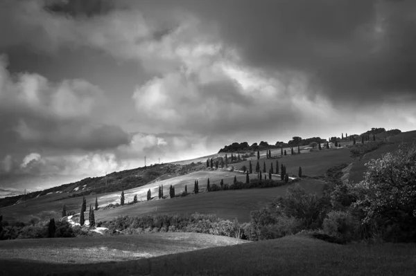 Famous Winding Road Cypresses Foce Castelluccio Siena Landscape Val Orcia — Stock Photo, Image