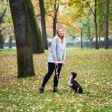Avustralya çoban köpeğiyle parkta oynayan genç bir kadın..