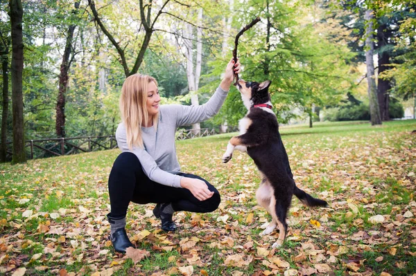 Ung Kvinna Leker Med Australian Shepherd Hund Utomhus Parken — Stockfoto