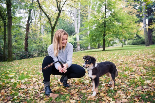 Ung Kvinna Leker Med Australian Shepherd Hund Utomhus Parken — Stockfoto