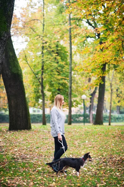 Young Woman Walking Australian Shepherd Dog Outdoors Park — Stockfoto