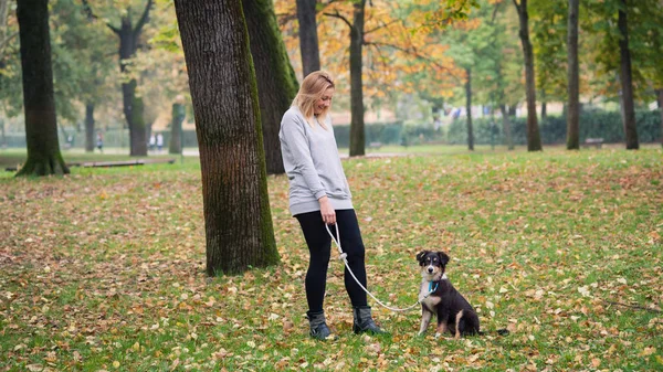 Ung Kvinna Leker Med Australian Shepherd Hund Utomhus Parken — Stockfoto