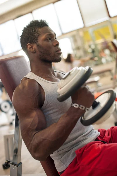 Jonge zwarte man portret oefening met halters in de sportschool. — Stockfoto