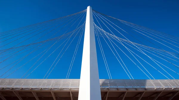 Reggio Emilia Italië Februari 2014 Beroemde Bruggen Complex Vele Door — Stockfoto