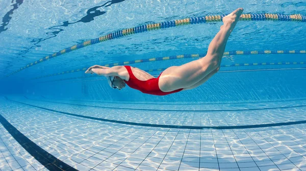 Professional woman swimmer diving inside swimming pool. — Stock Photo, Image