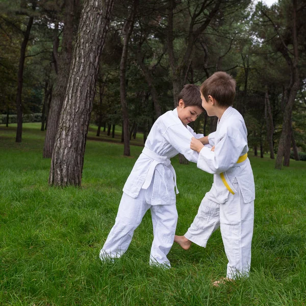 Dwoje Dzieci Ćwiczących Judo Świeżym Powietrzu Parku — Zdjęcie stockowe