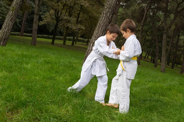 Dvě Děti Cvičí Judo Venku Parku — Stock fotografie