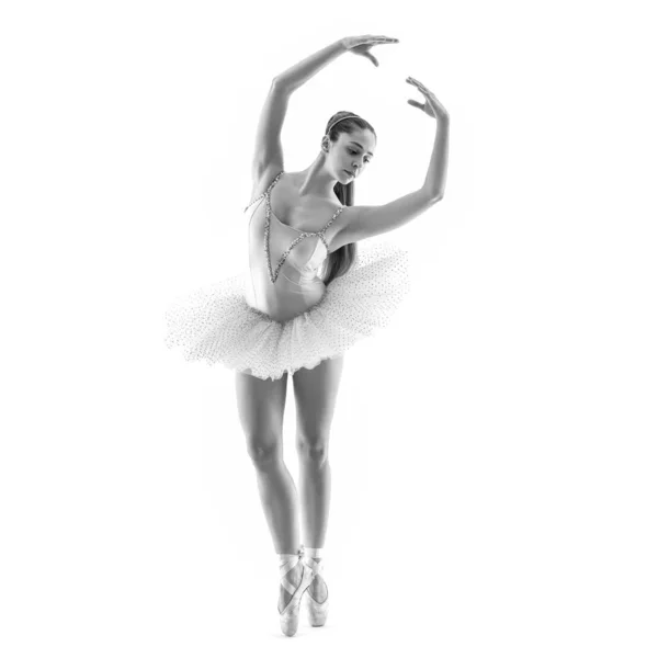 年轻的古典舞蹈家因白人背景而被隔离 Ballerina项目 黑白图像 — 图库照片