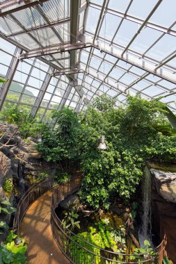 bitkiler ve yol ile sera güneş ışıklı görünümü