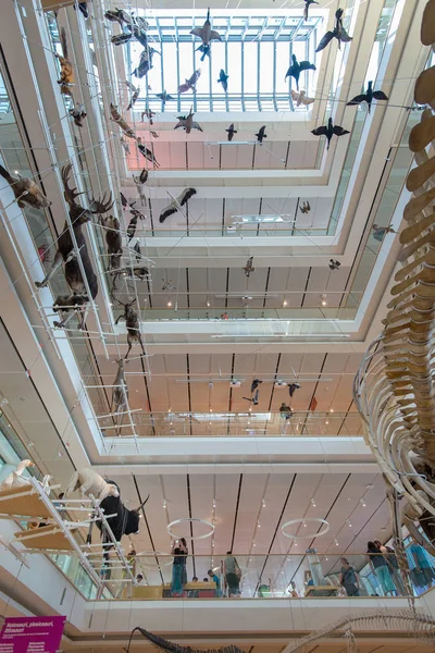 Trento Włochy Lipca 2015 Widok Wewnątrz Muse Interaktywne Muzeum Zaprojektowany — Zdjęcie stockowe