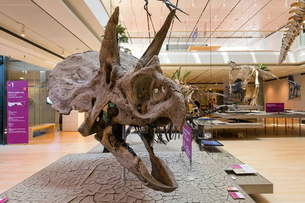 Trento Italie Juillet 2015 Squelette Dinosaures Intérieur Muse Musée Interactif — Photo