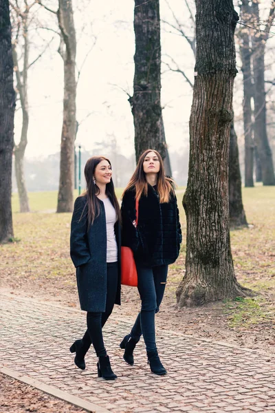 Giovani Sorelle Che Camminano Insieme Ritratto Parco — Foto Stock