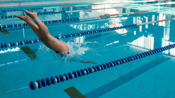 Vrouw professionele zwemmer springen in het zwembad. — Stockfoto