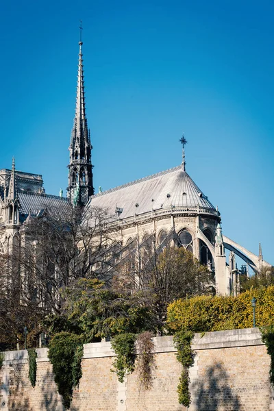 巴黎圣母院大教堂 最著名的哥特式大教堂 1163 1345 位于Cite岛东半部 — 图库照片
