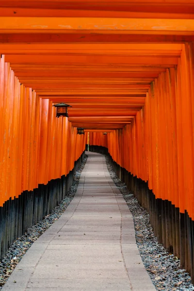 Fushimi Inari Tapınağı veya Fushimi Inari Taisha, bir Şinto tapınağı. A — Stok fotoğraf