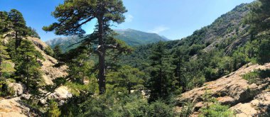 Korsika Vizzavona yakınlarındaki Gr20 iz Cascade des Anglais şelale manzara panoramik görünümü, Fransa. 