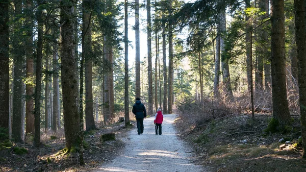 Young girl with father walking in a wood.