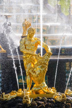 Saint Petersburg, Rusya - Mayıs, 2018: Samson ve Aslan altın heykeli ve parkta Peterhof cascade içinde çeşme. Peterhof Sarayı Unesco'nun Dünya Mirası Listesi'nde yer almaktadır..
